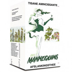 Des Mannequins Tisane Amincissante 20 sachets